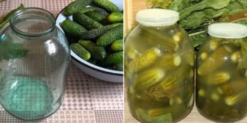 Как заквасить огурцы