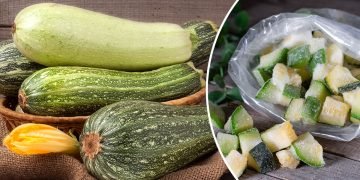 Как заморозить кабачки