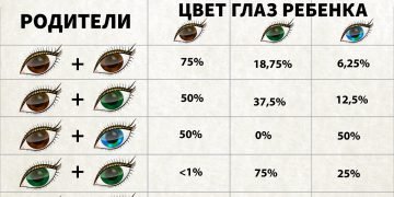 Какой цвет глаз будет у ребенка