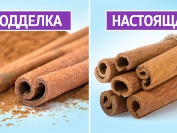 Кассия и корица