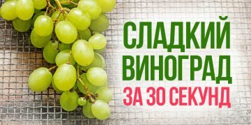 Кислый виноград