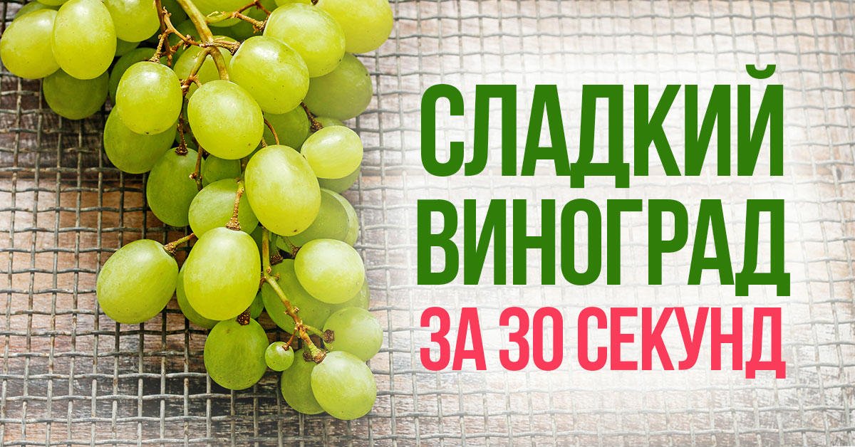 Кислый виноград