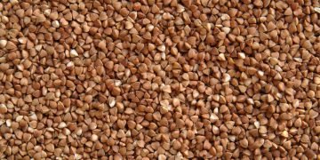 Китайская гречка