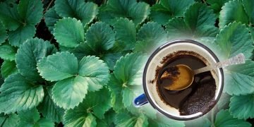 клубника и кофейная гуща