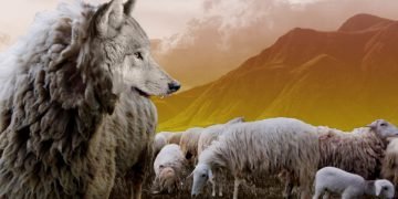 Кому нельзя доверять