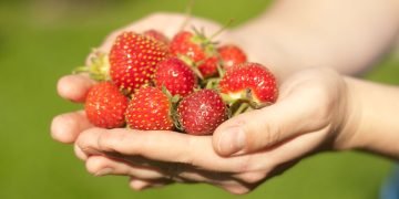 кому нельзя есть клубнику