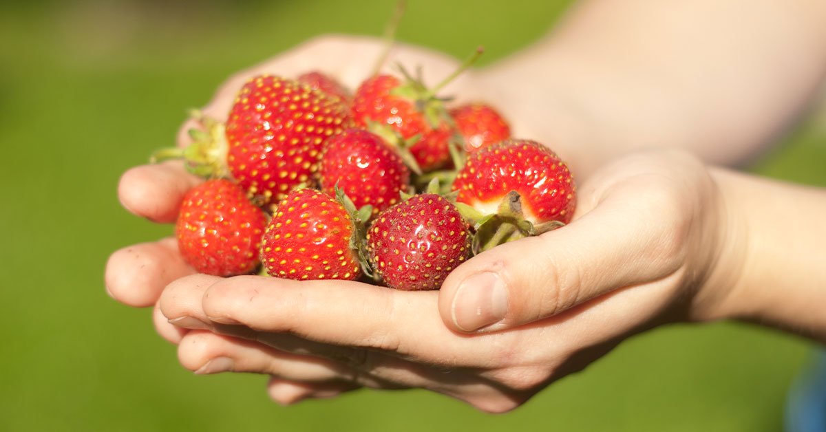 кому нельзя есть клубнику