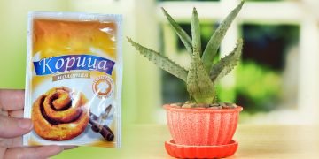 корица как удобрение