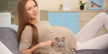 кошки и беременные женщины