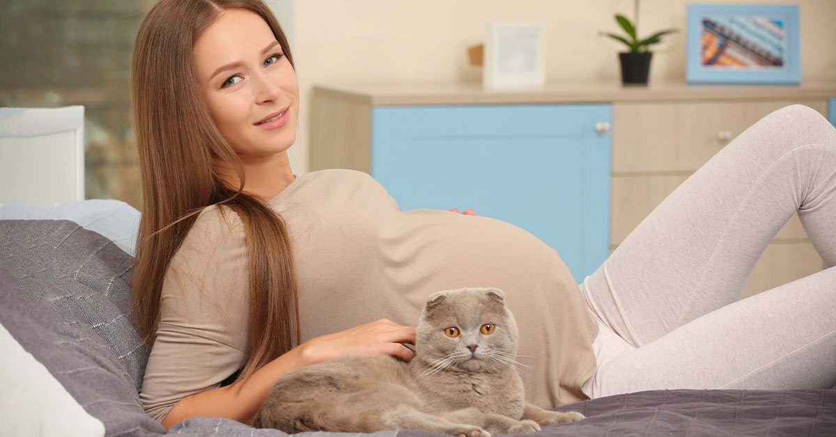 кошки и беременные женщины