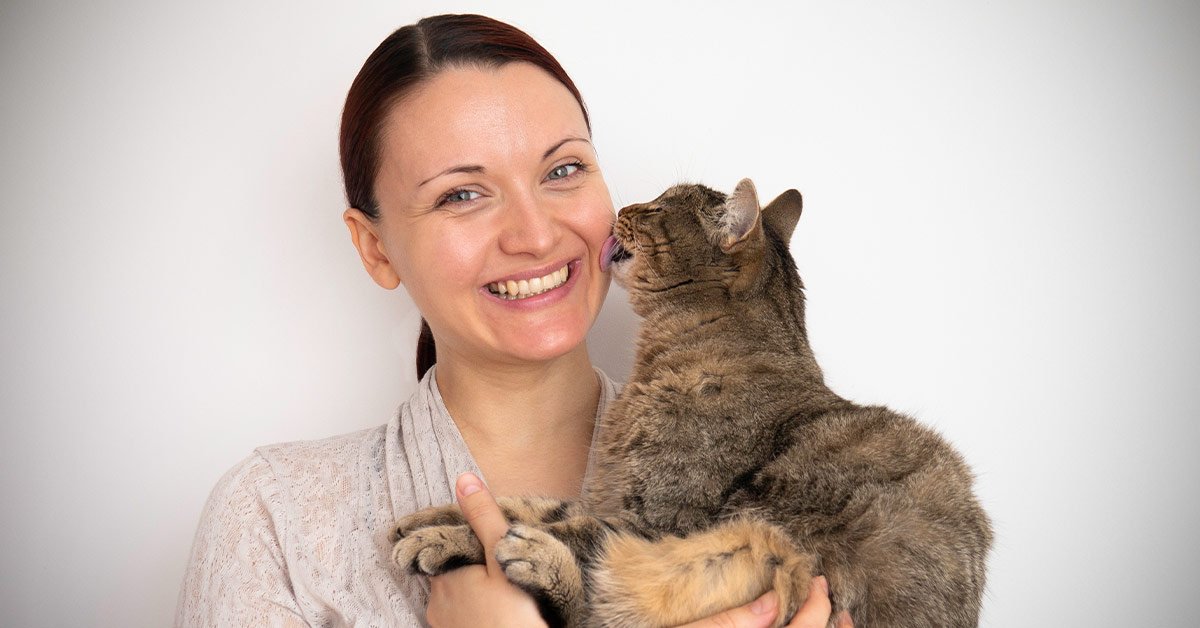 Кошки в жизни человека