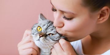 кот дороже ребенка