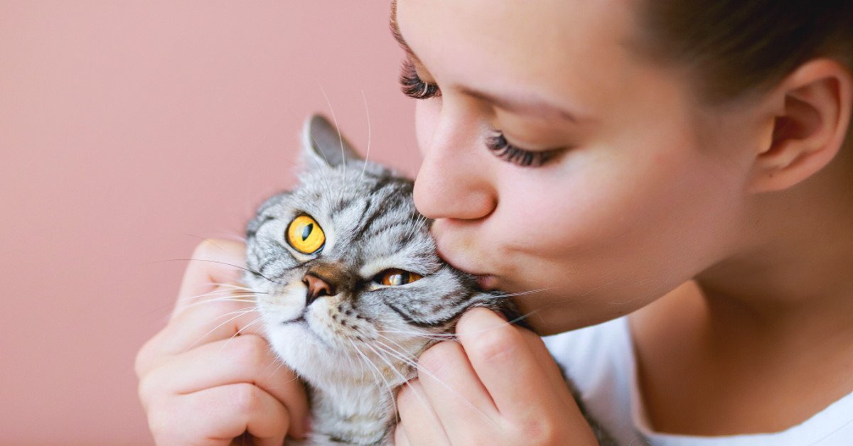 кот дороже ребенка