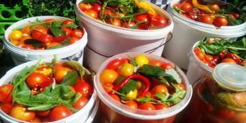 Квашеные помидоры