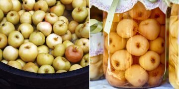 Квашеные яблоки