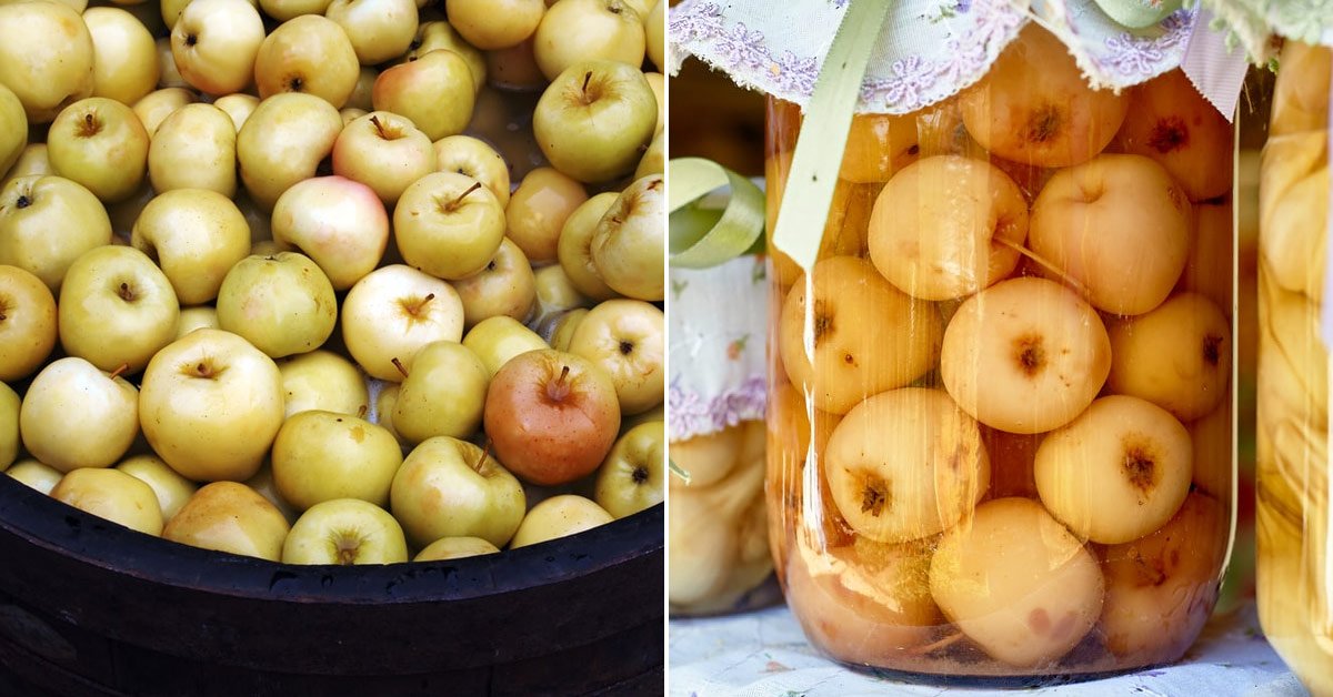 Квашеные яблоки