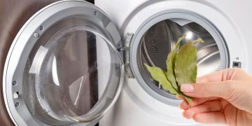 лавровый лист в стиральной машине