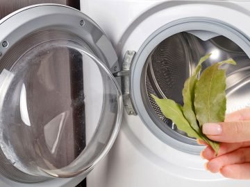 лавровый лист в стиральной машине