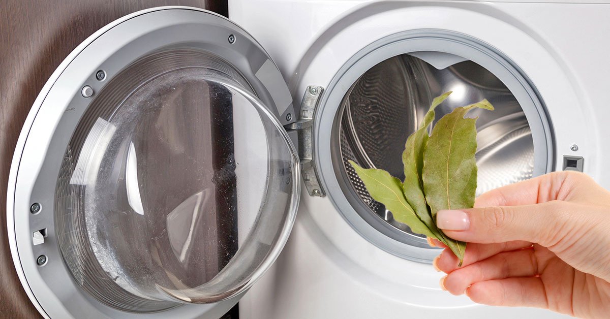 лавровый лист в стиральной машине