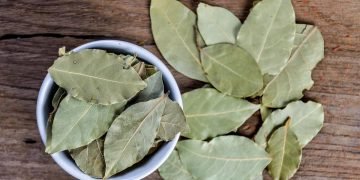 лавровый лист