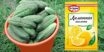 Лимонная кислота для огурцов