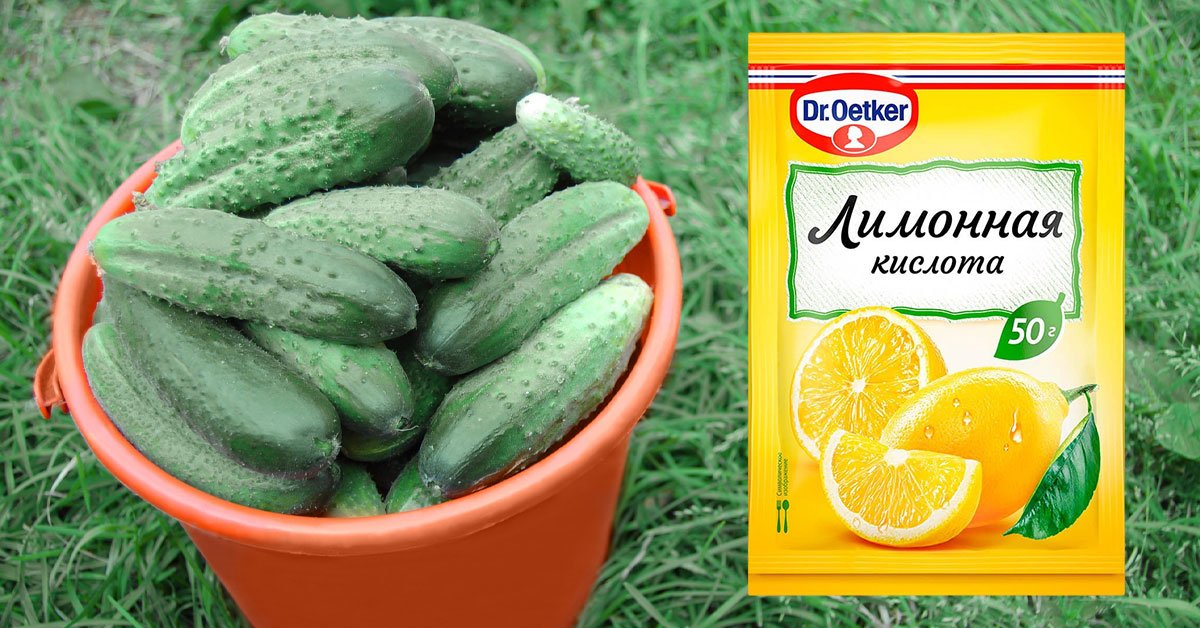 Лимонная кислота для огурцов