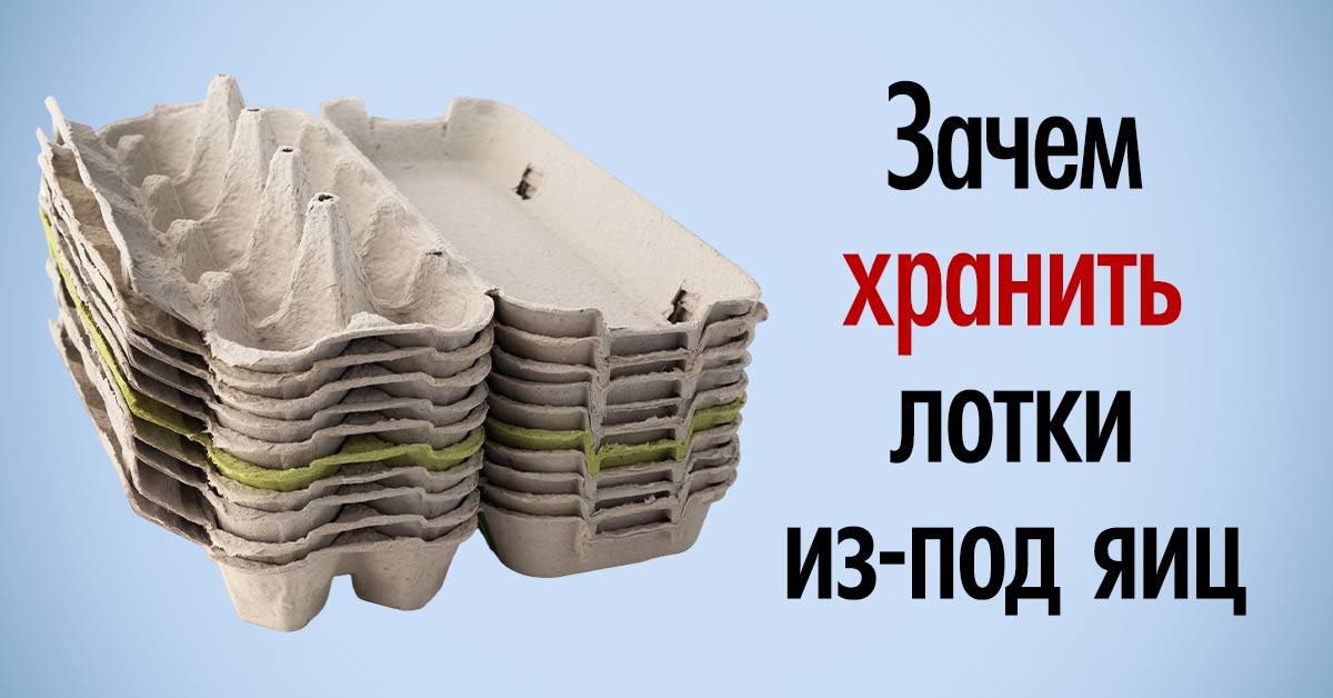 Лоток из-под яиц и как его использовать в хозяйстве