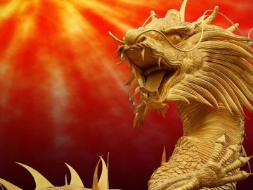 любимчики зеленого дракона