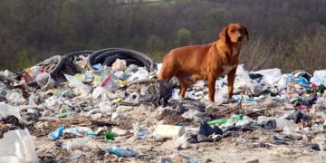 Любовь человека к природе