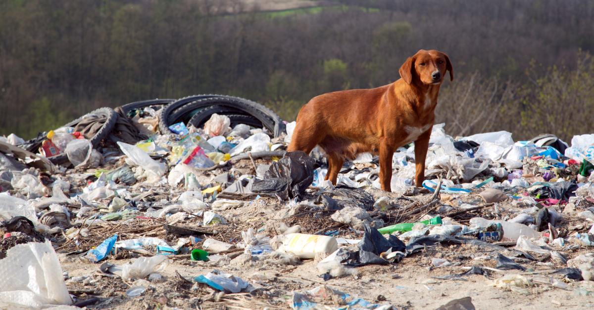 Любовь человека к природе