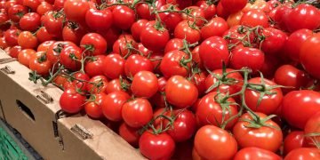Магазинные помидоры