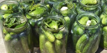 огурцы на зиму