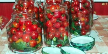 маринованные помидоры черри