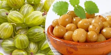 Маринованный крыжовник