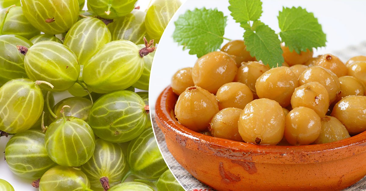 Маринованный крыжовник