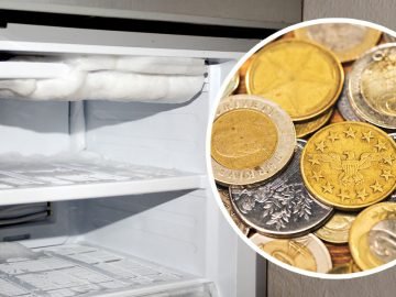 монета в морозилке