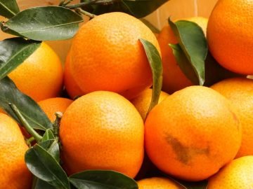 Мыть мандарины