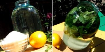 напиток из листьев