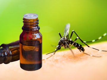 Народное средство от комаров