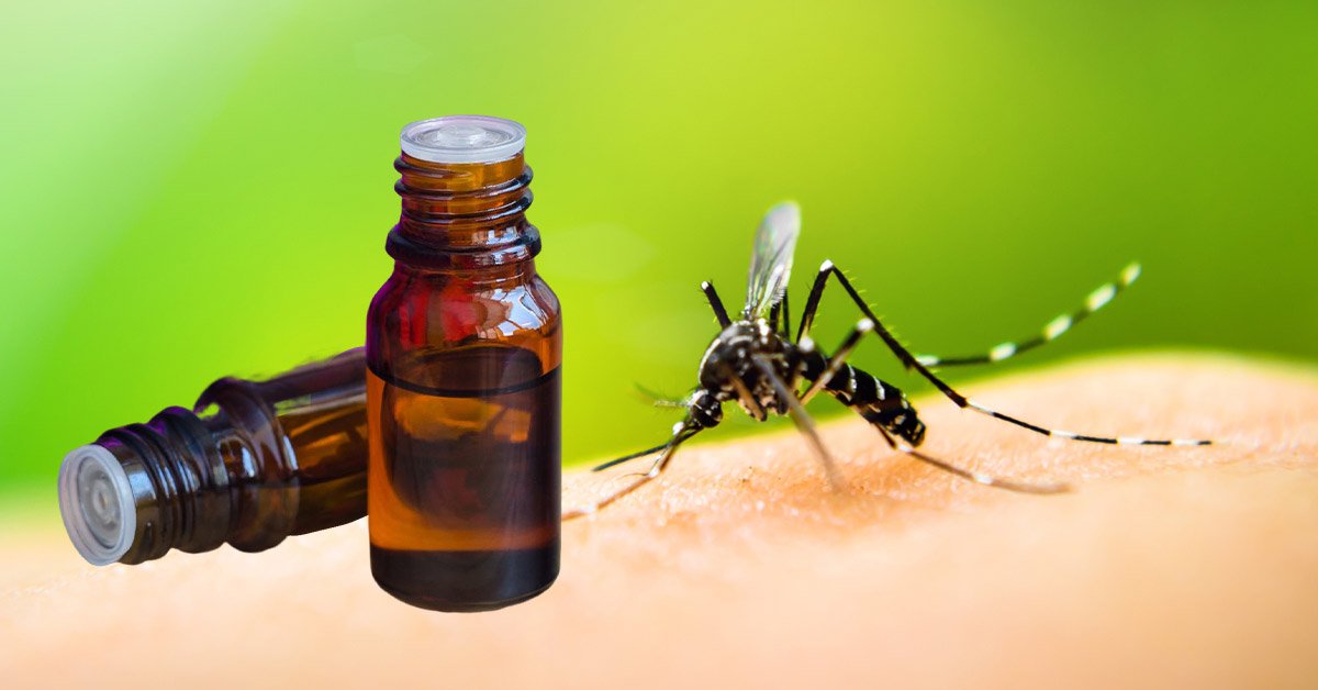 Народное средство от комаров