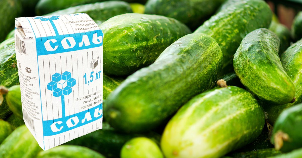 натирание огурцов солью