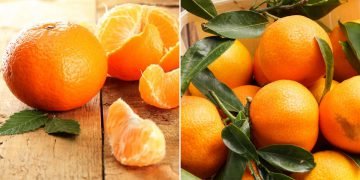 Необычные продукты