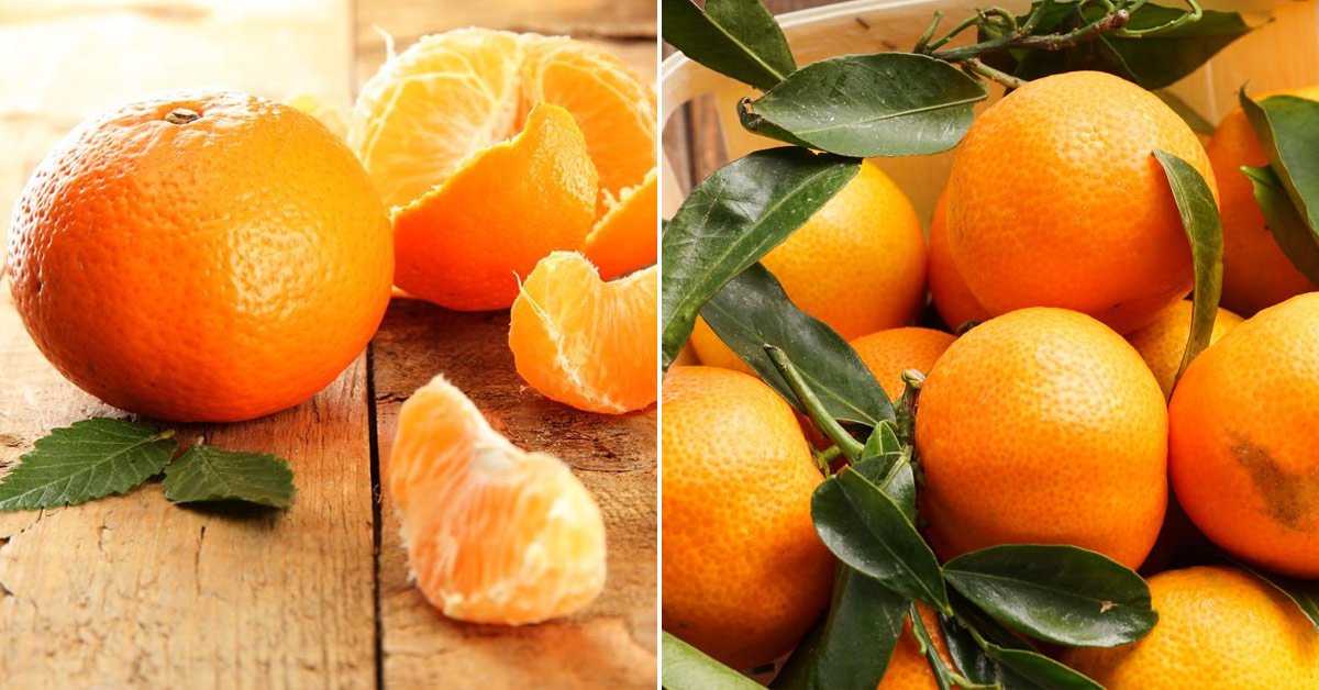 Необычные продукты