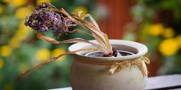 Неряшливый человек