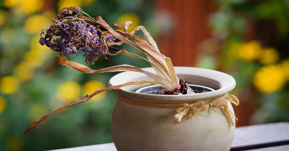 Неряшливый человек