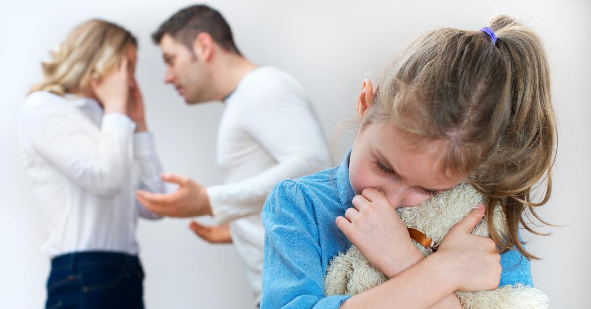 Новый член семьи