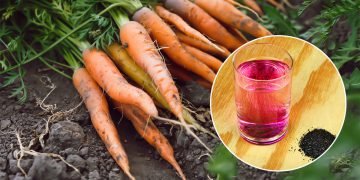 Обработка моркови