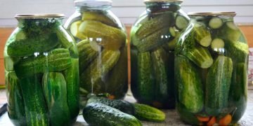 Огурцы «Глобус»