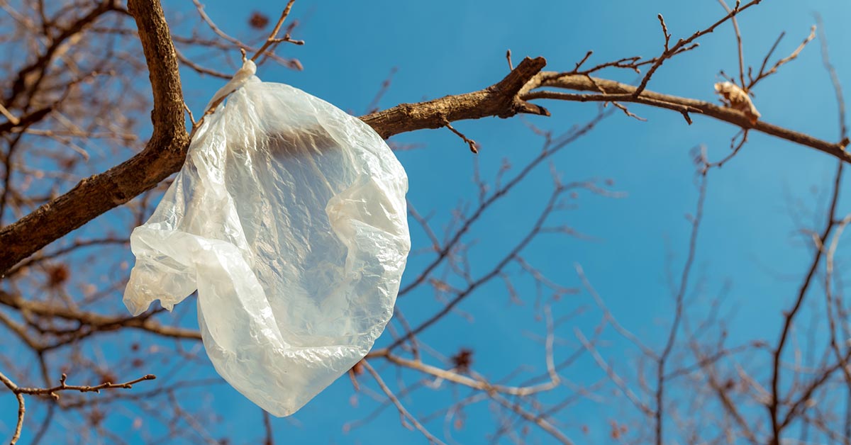 пакет на дереве