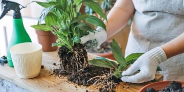 пасхальная уборка